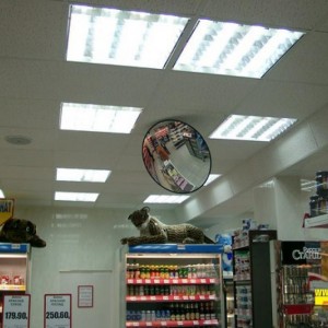 зеркало дорожное сферическое купить – antivor.ru